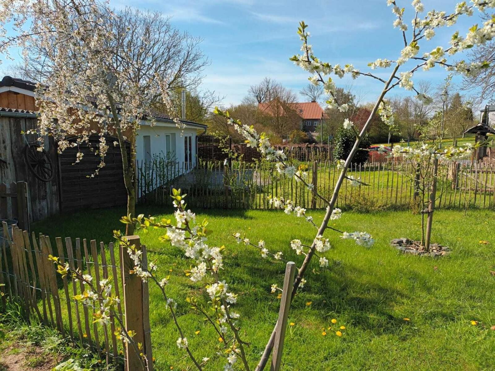 Villa Apfelhof Grundshagen Zimmer foto